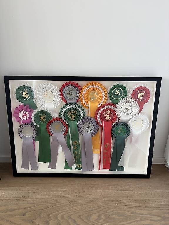 Placchette & Badge: Framed horse badges  – Usato da Herrliberg venduto da jil_y77h