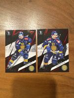 SportZoo Playoffs x/30 HC Davos