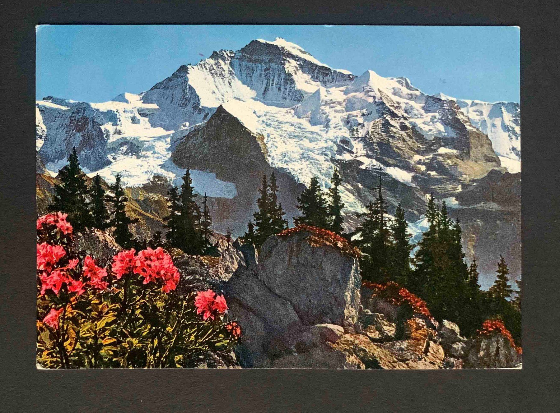 Cartoline postali: AK Die Jungfrau – Usato da Goldau venduto da artelier1