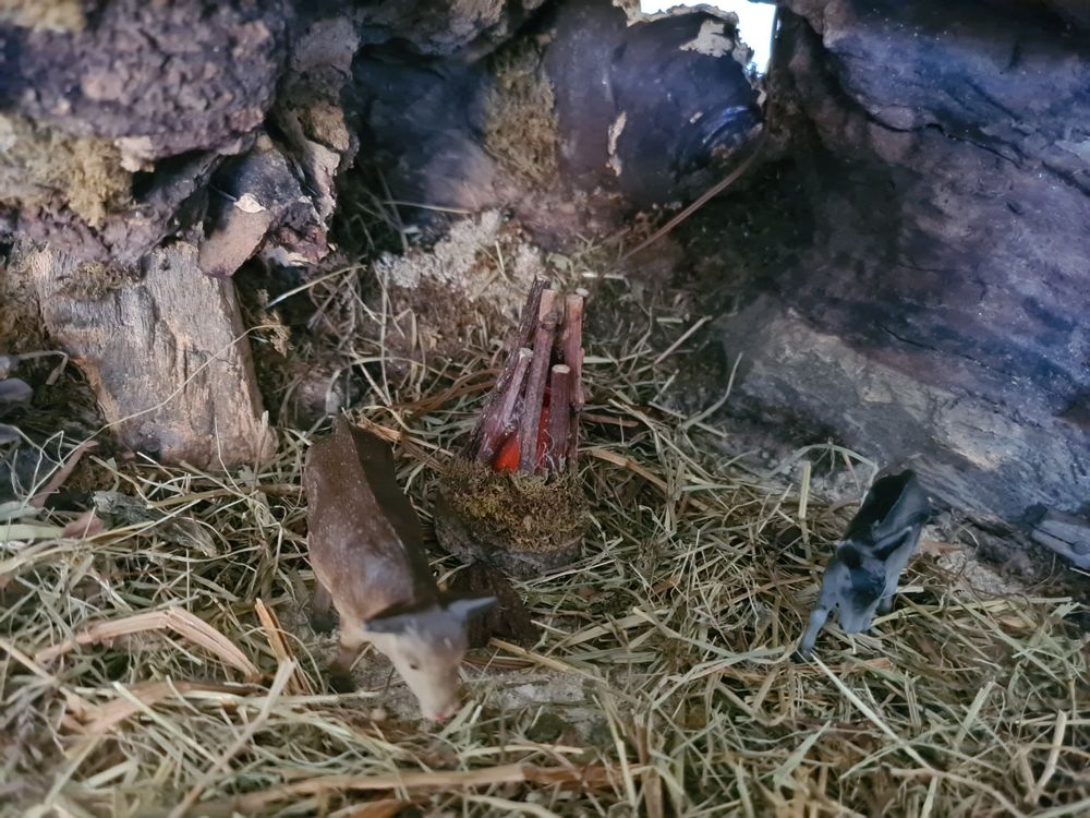 SALE Weihnachtskrippe gross antik 21 Figuren/Tiere Kaufen auf Ricardo