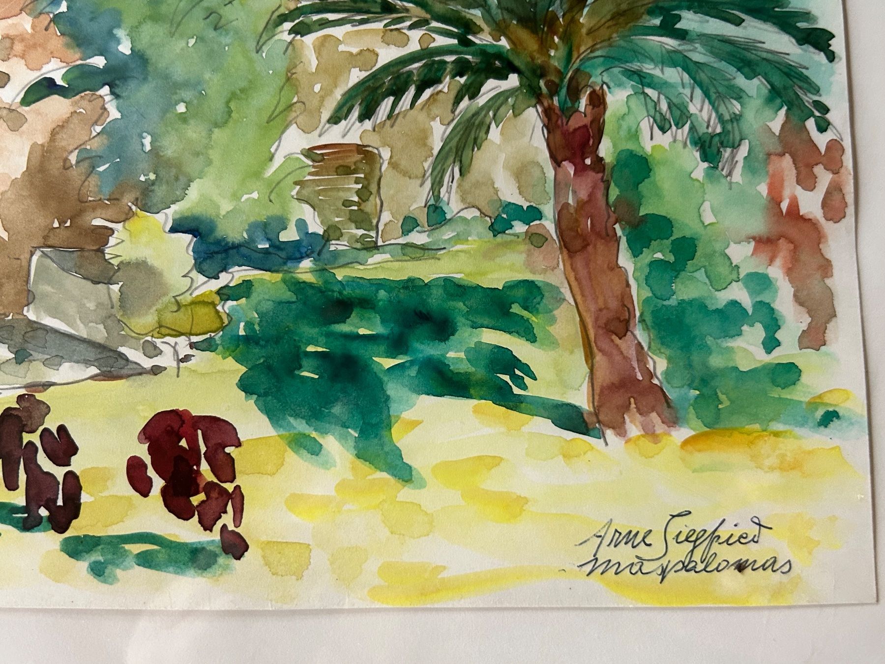 Foto & Immagini: Aquarelle Arne Siegfried – Usato da Schaffhausen venduto da amwr 3