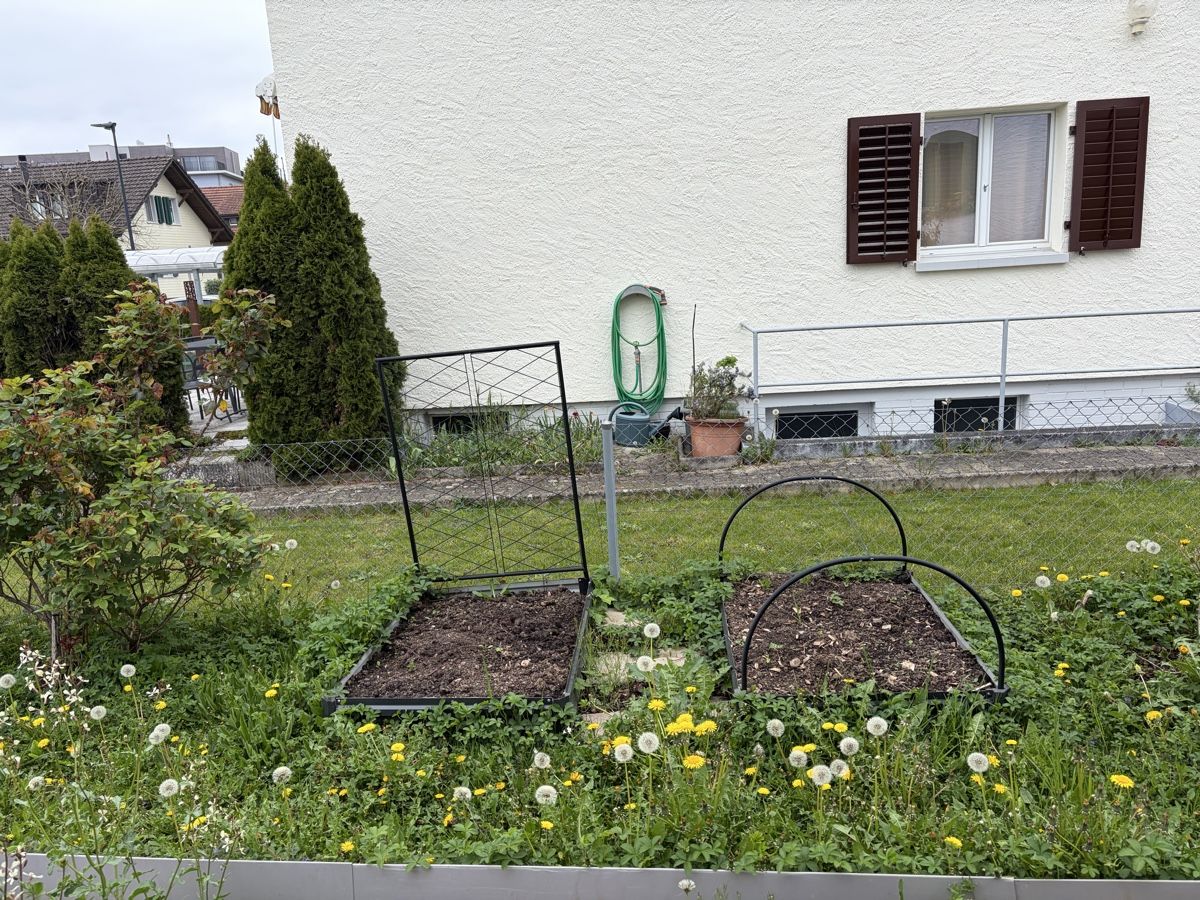 Pots de fleurs: Hochbeet mit Rankgitter 2er Set – D'occasion à Forch par tsc_h7by