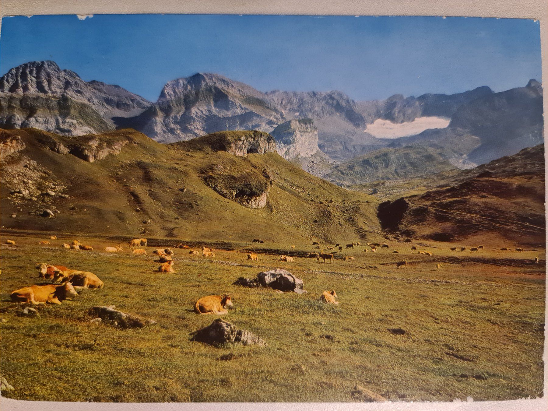Cartoline postali: Alte Ansichtskarte Anzeindaz, 1979 frankiert. – Usato da Dintikon venduto da Vexi
