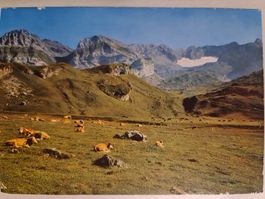 Alte Ansichtskarte Anzeindaz, 1979 frankiert.