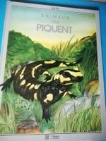 Livre Hachette jeunesse: Animaux qui piquent.