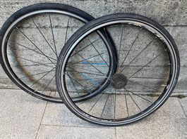 Velo Räder