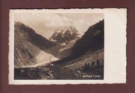 MONT COLLON