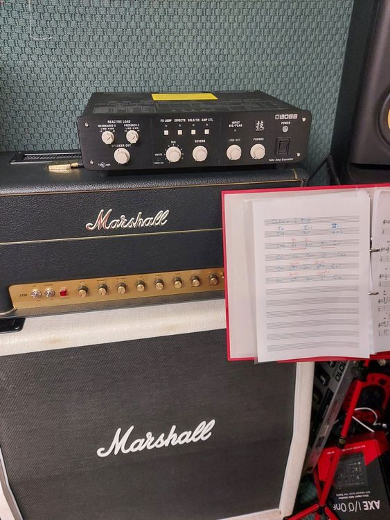 Atténuateur Boss WAZA tube amp expander TAE Kaufen auf Ricardo