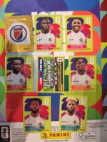 Panini Haiti Set