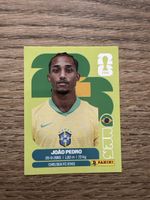 Panini WM 2026 Joao Pedro