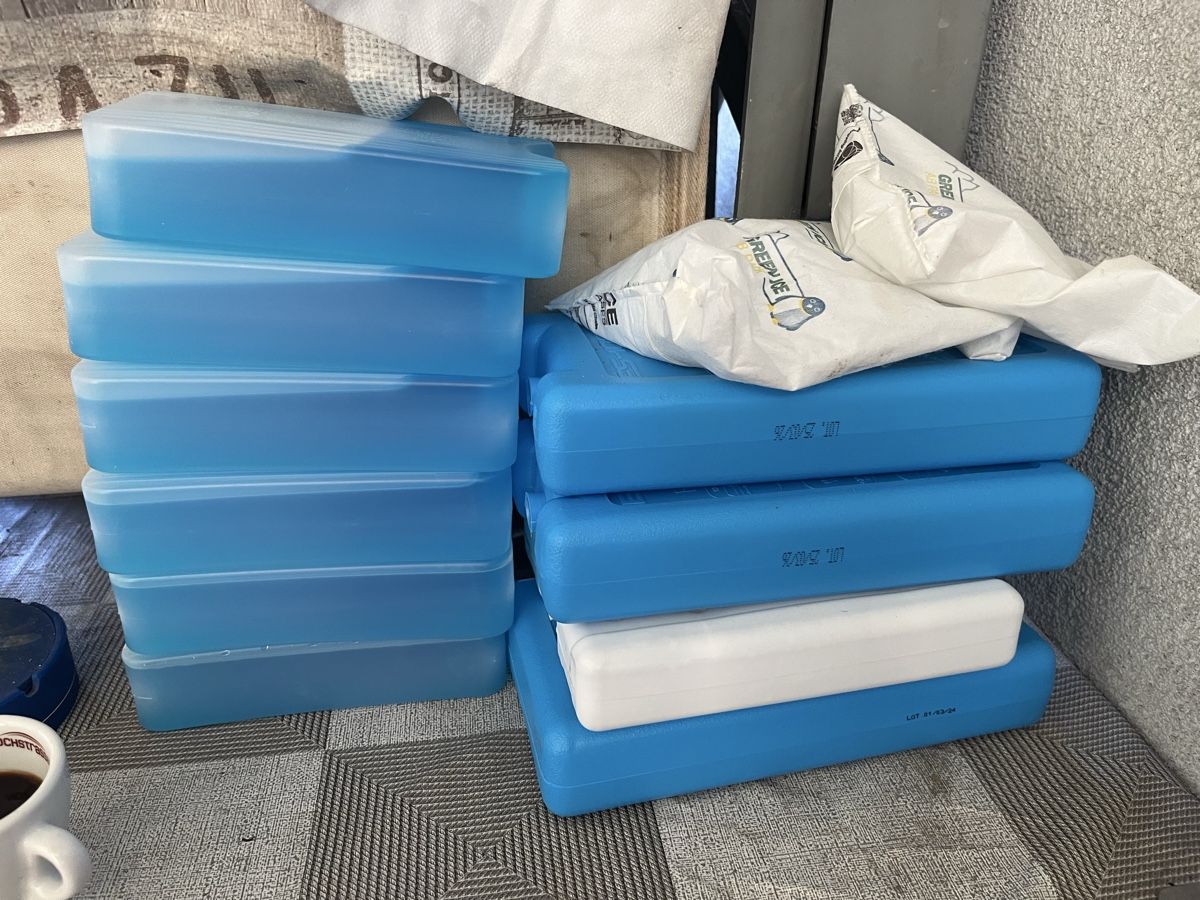 Füllmaterial: Blocchi refrigeranti blu e bianchi 10 pezzi lotto – Gebraucht aus Chiasso von fairy81
