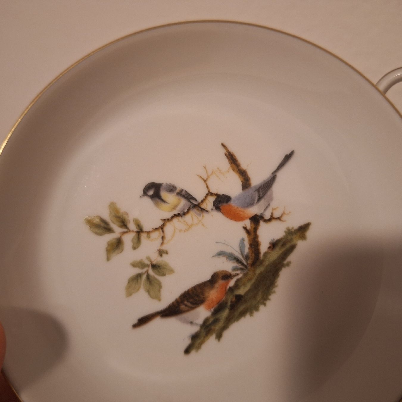 Tassen: Versand möglich. Tasse von Bareuther Bavaria, Vogel – Gebraucht aus Winterthur von Goldpipau 4