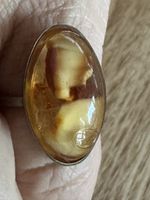 Schöner Bernstein Silberring