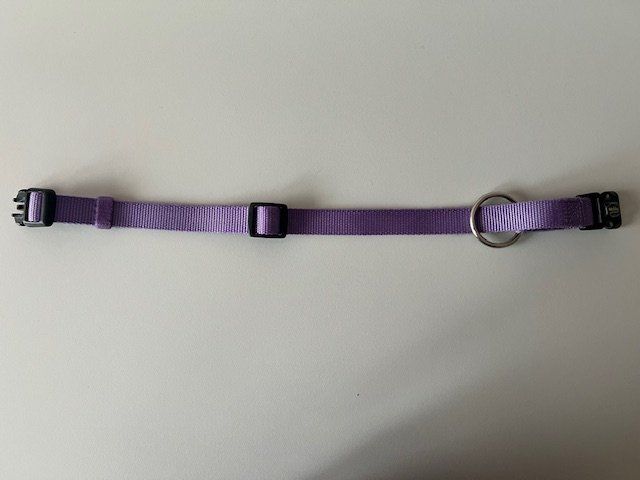 Guinzagli & Collari: Hundehalsband gebraucht aus Nylon – Usato da Winterthur venduto da la_panna 3