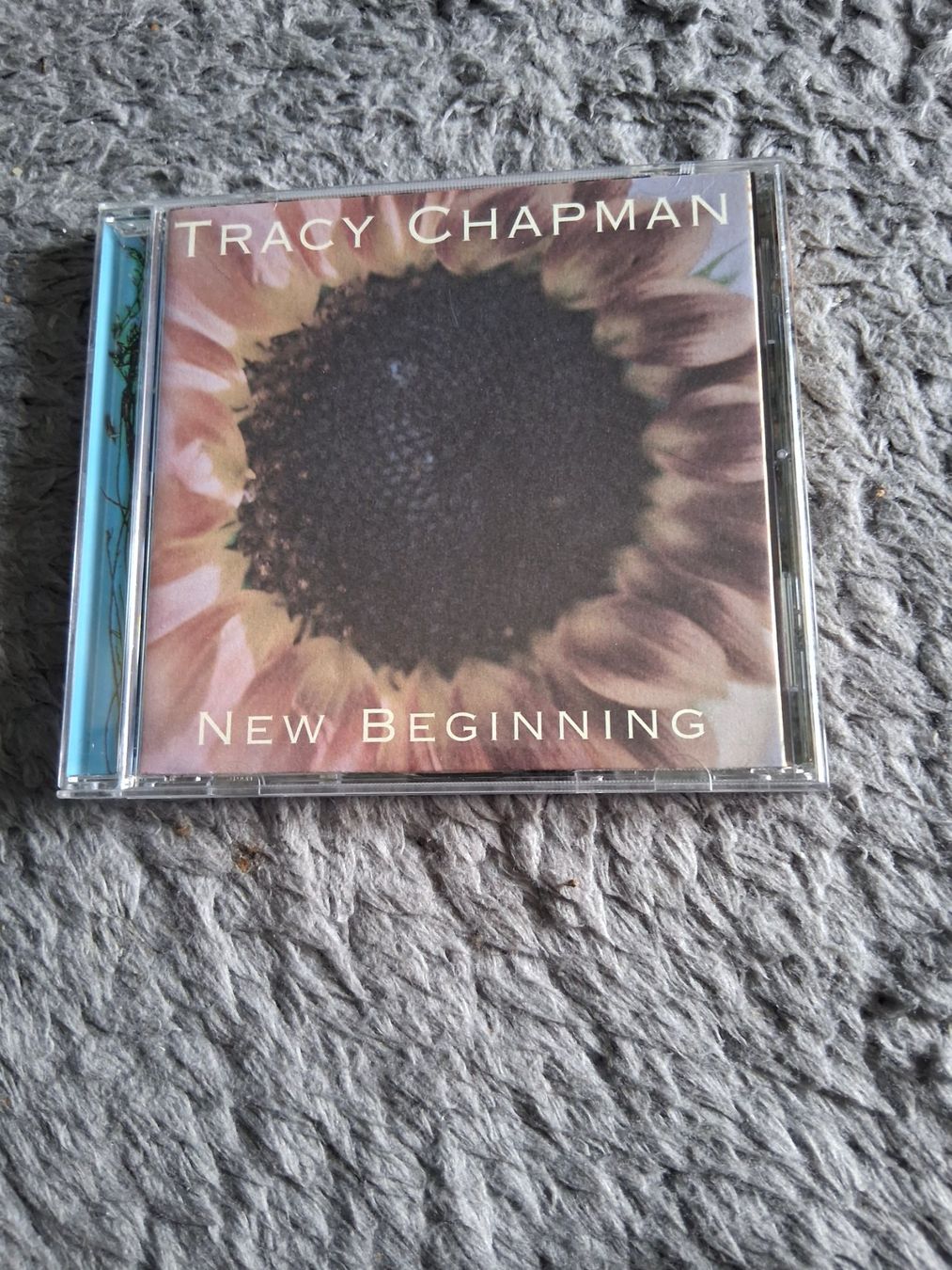 CDs: TRACY CHAPMAN      NEW BEGINNING      CD – D'occasion à Wetzikon ZH par Ramones01