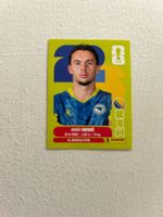 Panini BIH 3