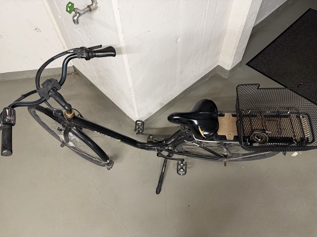 Saxonette Biciclette: Tolles Saxonette Elobike Light 2 – Usato da Nänikon venduto da Monschgal 4