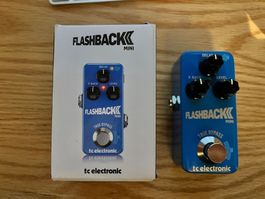 TC Electronics Flashback Mini