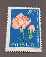 Polen 1964 Blumen briefmarke
