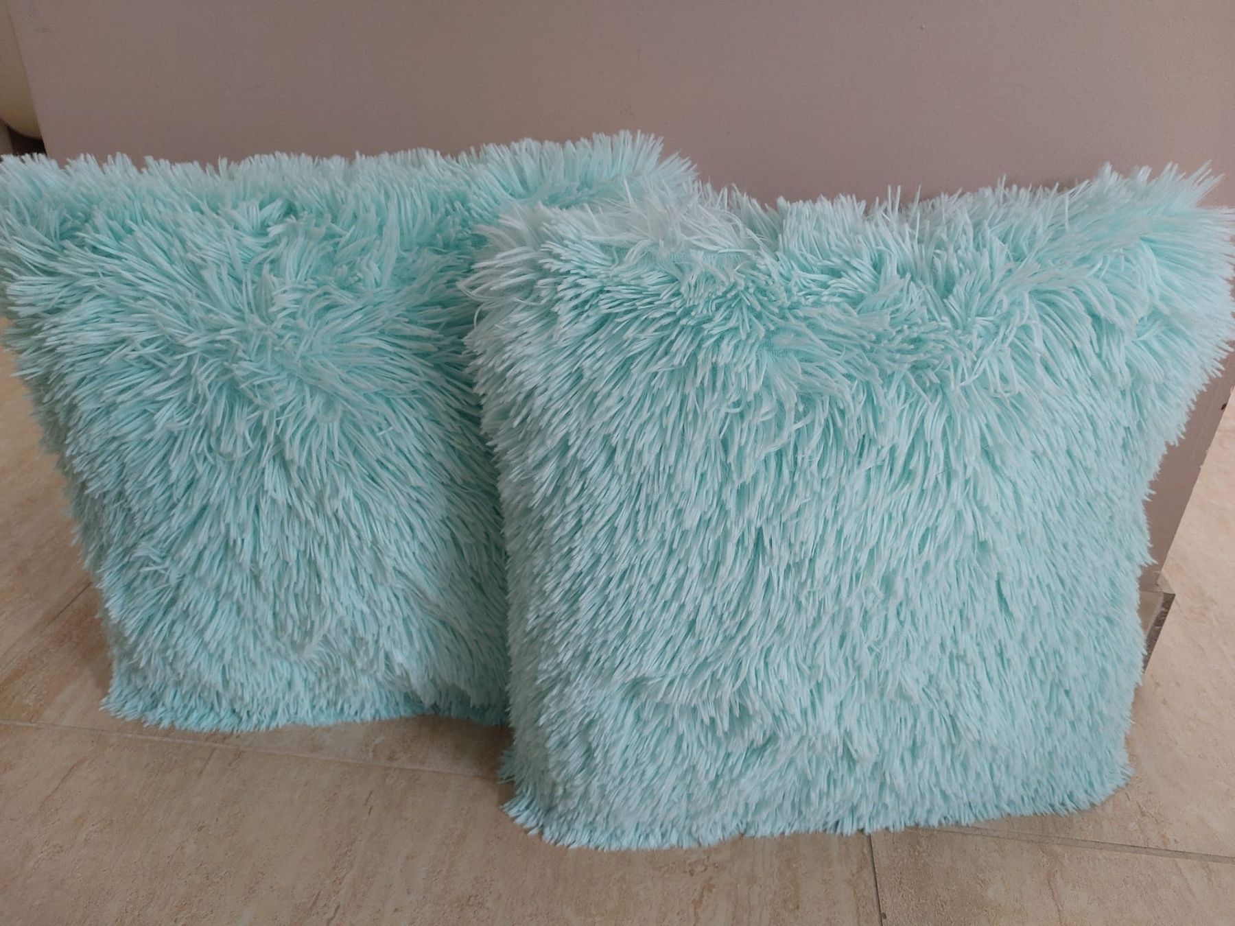 Cuscini: Lot de 2 Coussins Décoratifs menthe – Usato da Mont-sur-Lausanne venduto da ane_pgq6