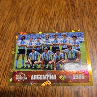 Panini26 FWC14