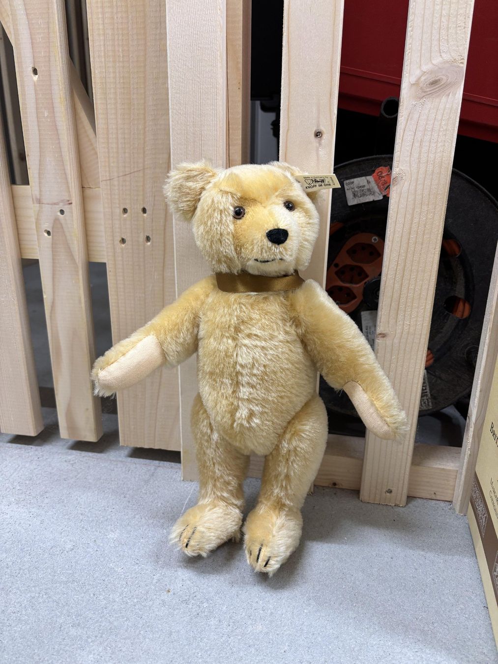 Steiff Bambole: STEIFF BABY BÄR 1946  BLOND 35 – Nuovo (secondo la descrizione) da Kernenried venduto da larisu