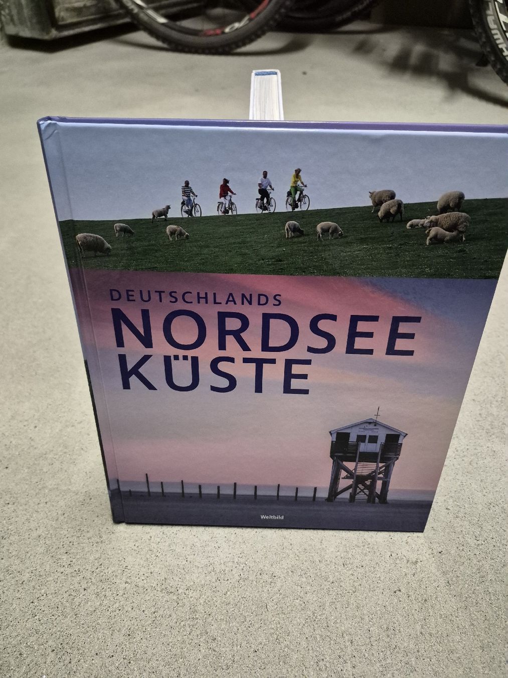 Libri: Buch "Nordseeküste" – Usato da Derendingen venduto da Judihui76