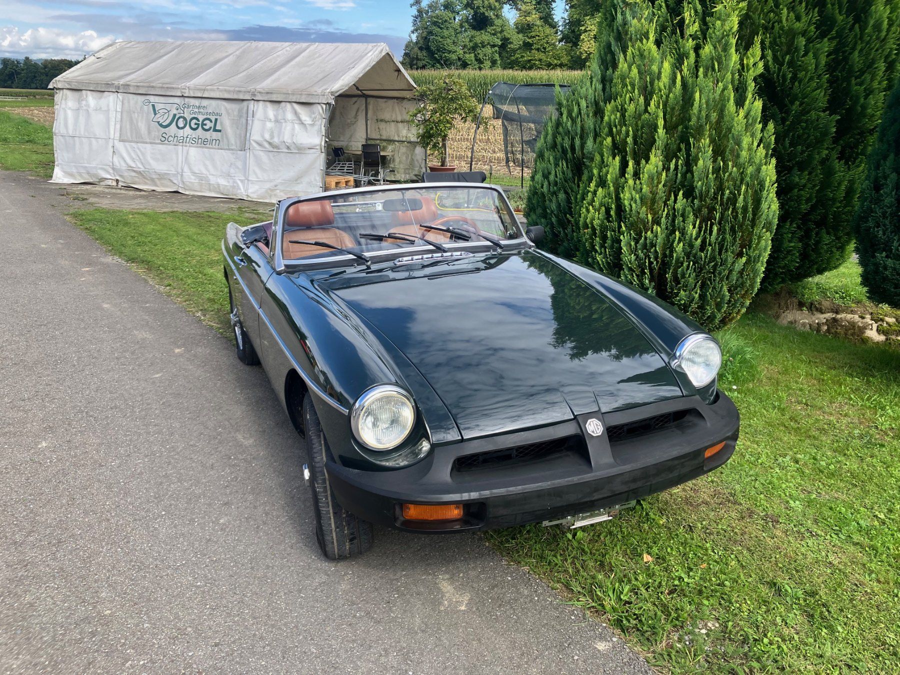MG Automobili: MG MGB – Usato da Hunzenschwil venduto da Kuck2 3