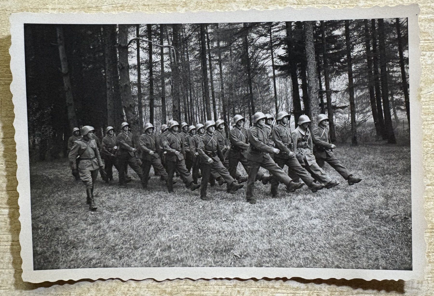 Foto & Immagini: SCHWEIZER ARMEE ZUGSCHULE IM FELDE – Usato da Ostermundigen venduto da wini63
