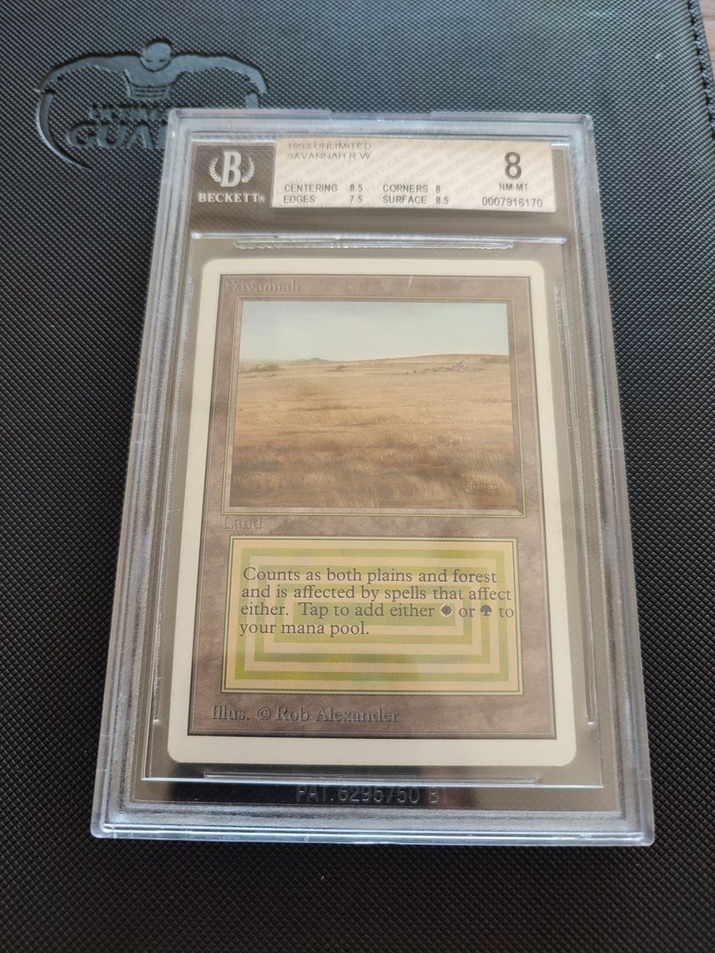 Magic The Gathering Carte collezionabili: MTG: Savannah Unlimited Edition BGS 8 – Usato da Muri b. Bern venduto da norton_BE