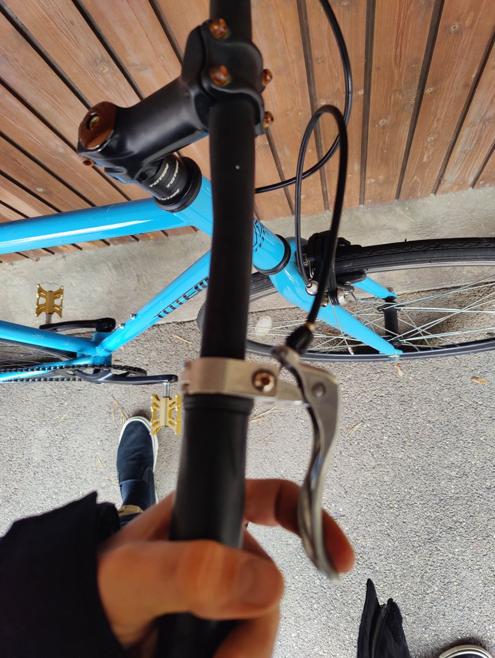 Totem Biciclette: Totem single speed(mit Freilauf) – Usato da Pfungen venduto da kri_hs5k 3