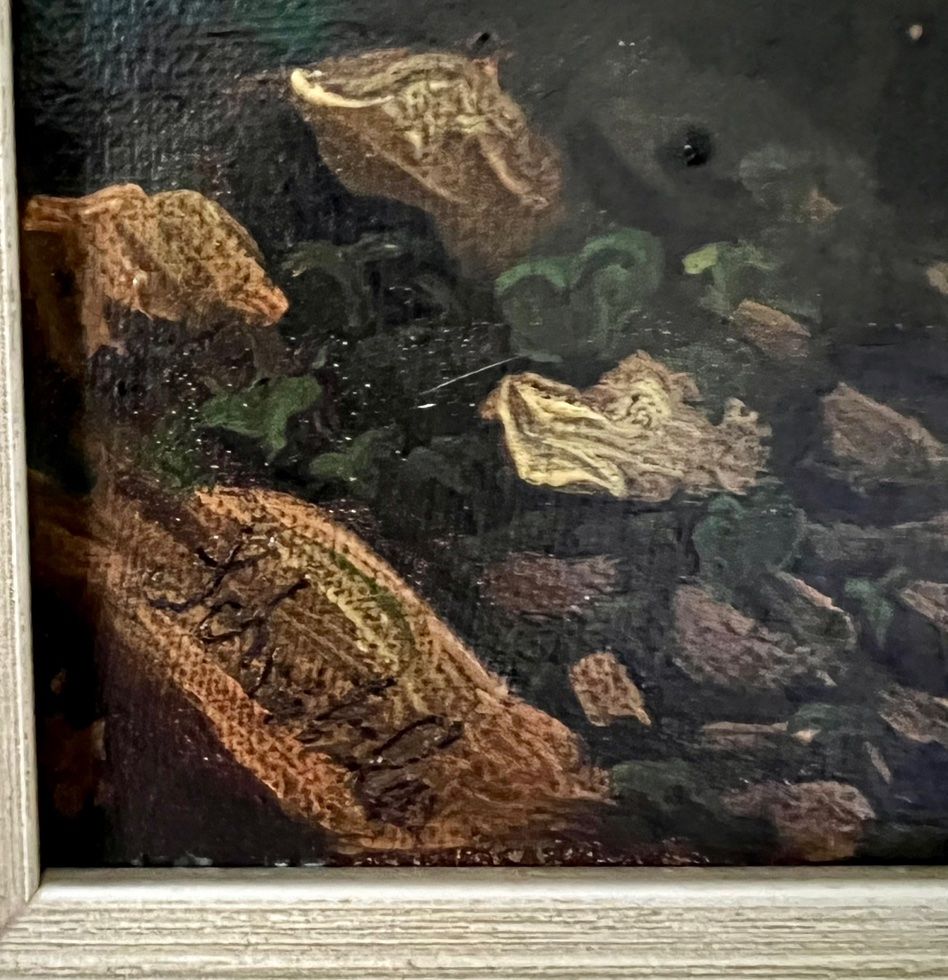 Dipinti: Antikes Ölbild sign. Schnitzler – Usato da Rutschwil venduto da joz_w5mj 4