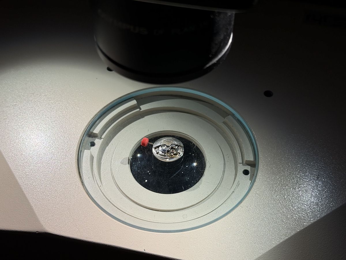 Olympus Mikroskopie: Microscope Olympus SZH 10 – Gebraucht aus Bassecourt von 59.00chf 9