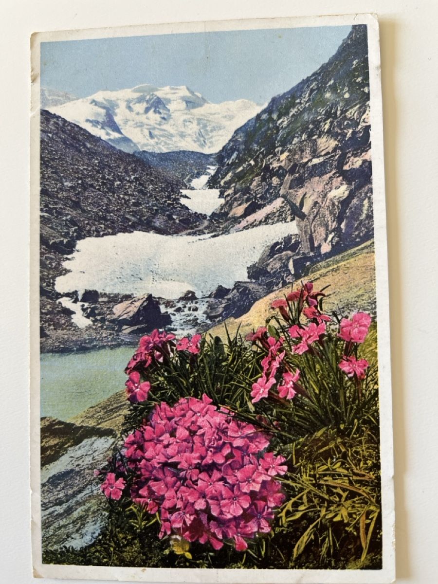 Cartoline postali: Engadin (Berninagruppe). 1931 gestempelt – Usato da Uster venduto da Arrayo