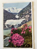 Engadin (Berninagruppe). 1931 gestempelt