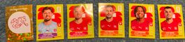 Panini WM 2026 SUI 1, 2, 6, 9, 11 und 15