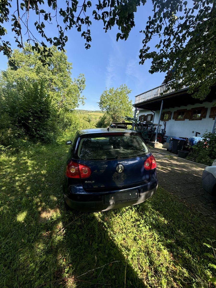 VW Automobili: VW Golf Vl Tour – Usato da Zürich venduto da Sim77 3