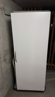 Bauknecht Einbaukühlschrank IV3057/3 