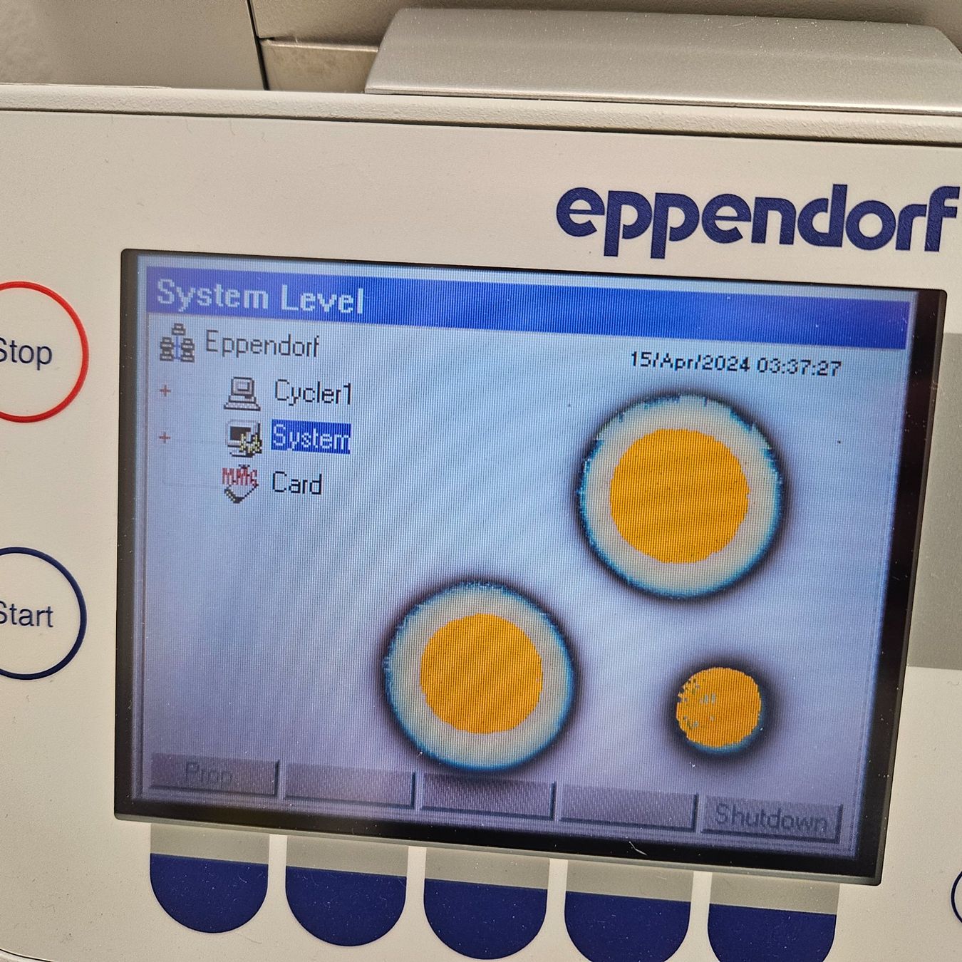 Accessori da laboratorio: EPPENDORF MASTERCYCLER ep GRADIENT S PCR Thermal Cycler – Usato da Niederdorf venduto da LeptonAG_Labor 2