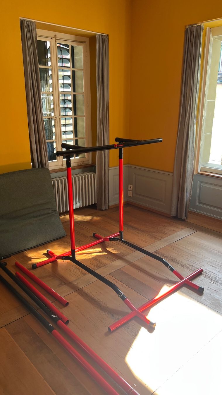 Hometrainer: Pull-up Mate 2 Klimmzugstange freistehend Dipstation – Usato da Zofingen venduto da J.Grossmann 3