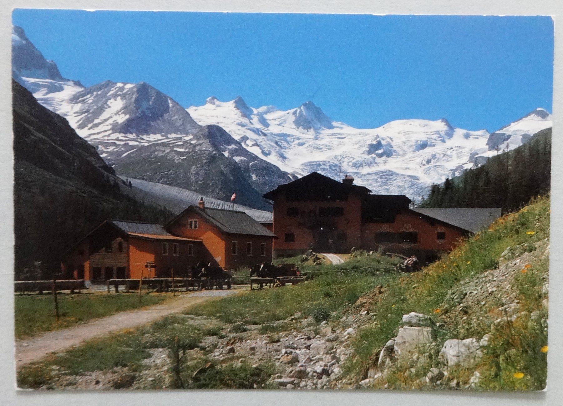 Ansichtskarten: Hotel Rest. Roseggletscher mit Sellagruppe – Gebraucht aus Fétigny von Billy2miny