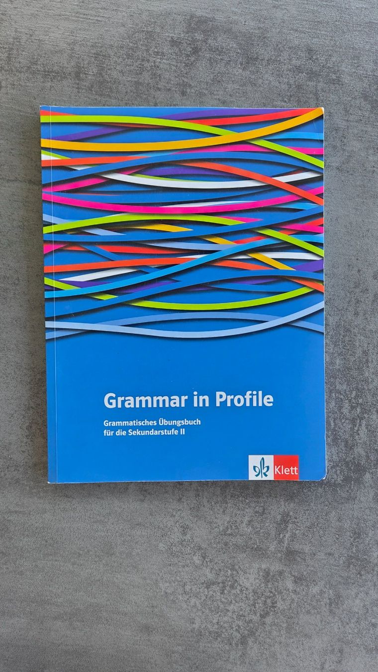 Libri: Grammar in Profile, 2023 – Usato da Wald ZH venduto da ant_tn75