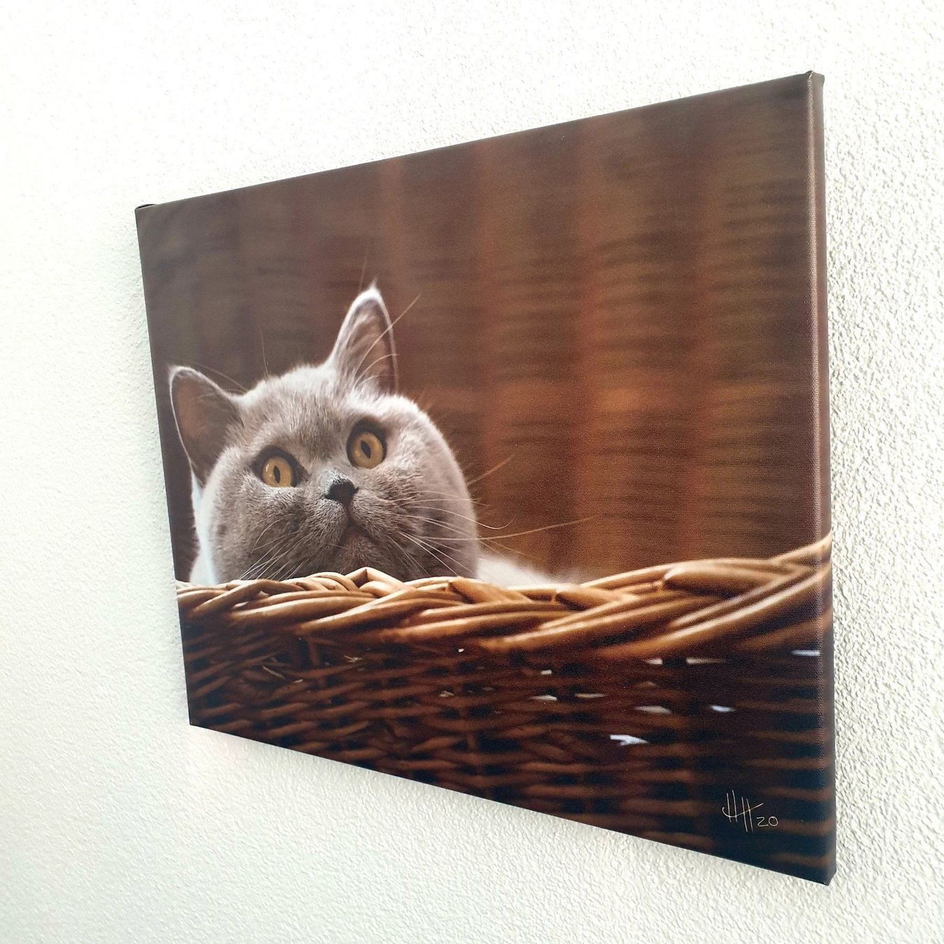 Poster & Bilder: British Shorthair Katze auf Leinwand – Neu (gemäss Beschreibung) aus Basel von HNDidn 1
