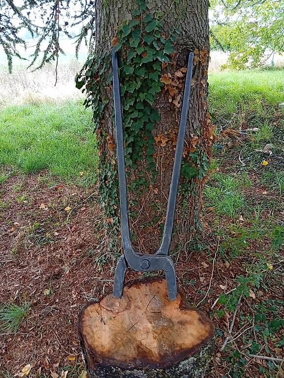 Tutti gli attrezzi: Ancienne pince de forgeron – Usato da Echichens venduto da Rootsboy 1