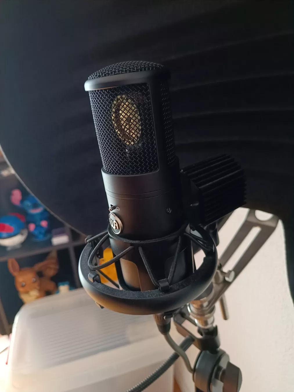 Warm Audio Microfoni: Warm Audio WA 8000 – Usato da Düdingen venduto da Raffipasquale 1