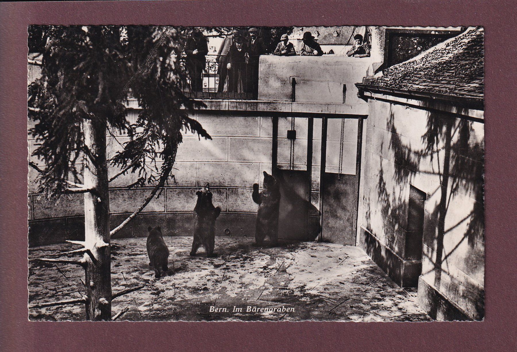 Cartoline postali: BERN - Bärengraben - 1947 – Usato da Pully venduto da nicecards