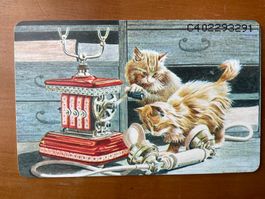 Telefonkarte Niederlande-Deutschland, Katzen am Telefon