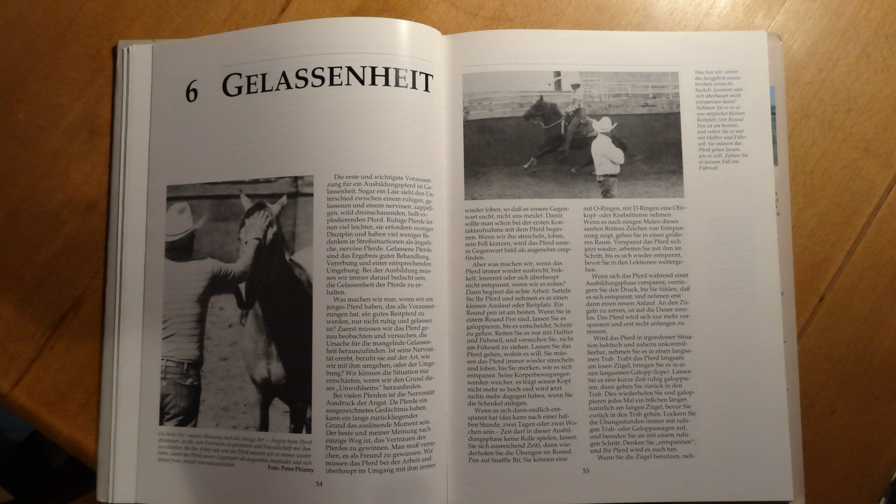 Bücher: Western Training Jack Brainard  141 Seiten ungebraucht – Neu (gemäss Beschreibung) aus Anwil von larks 4