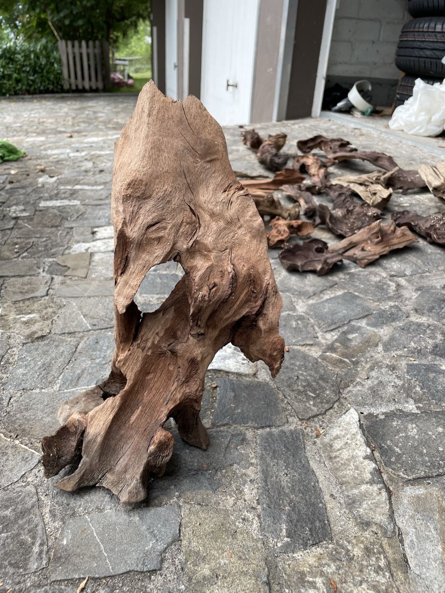 Toutes les décorations: Aquarium Holz – D'occasion à Thun par Villawisteria 4