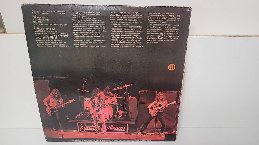Dischi in vinile: Ted Nugent Vinyl Schallplatte – Usato da Zofingen venduto da Loop_ReSale 1